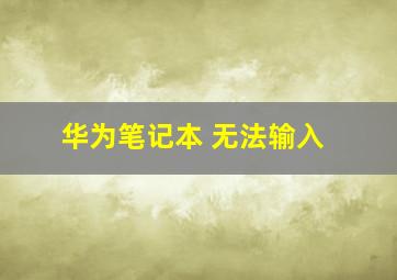 华为笔记本 无法输入